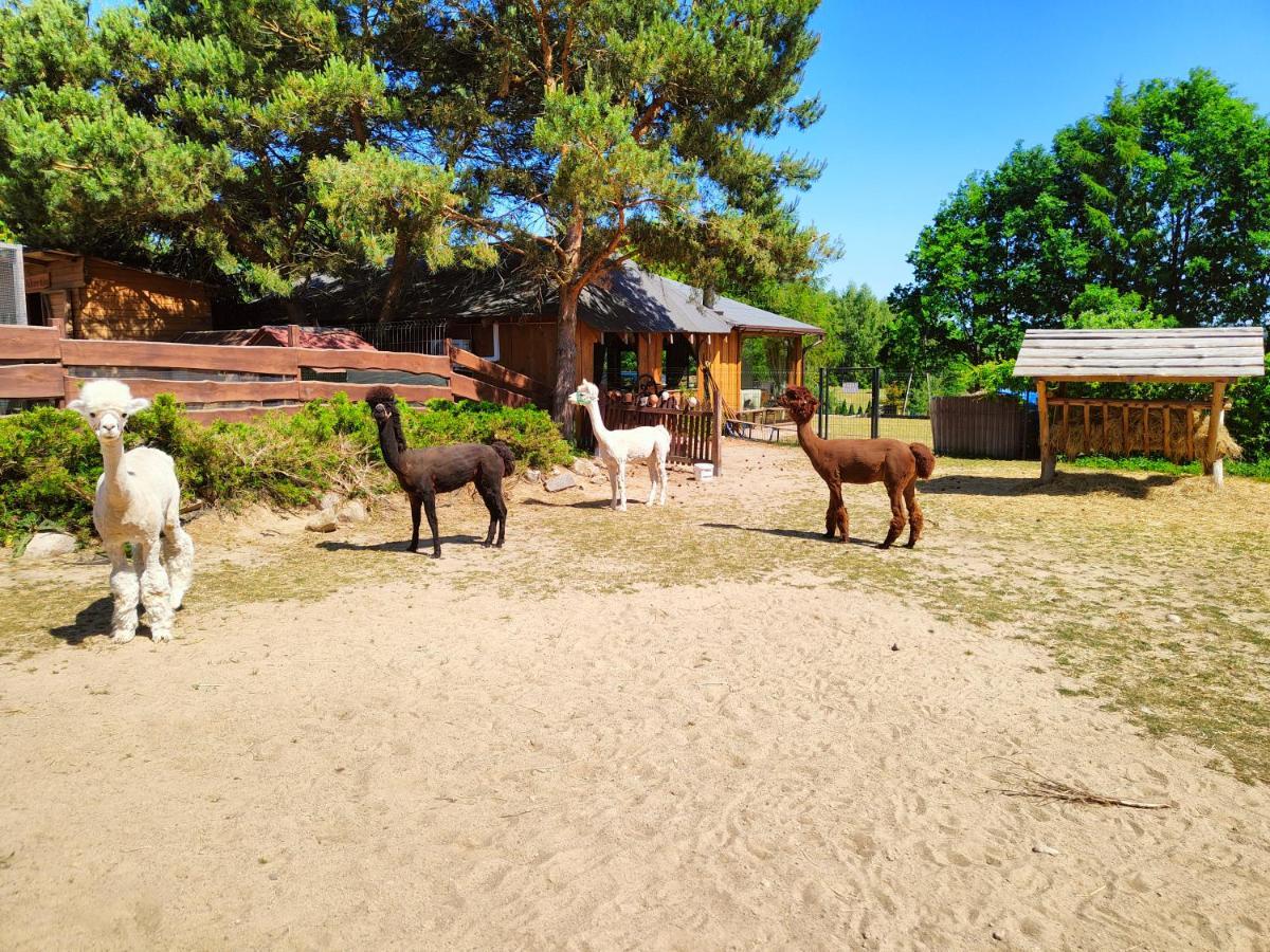 Domek Na Slonecznikowej Chmielno Exterior photo